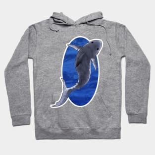 Lil Sharky Hoodie